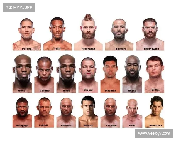 UFC on ABC 8 朗特里凭一致判定胜希尔 轻重量级格局迎新变化 UFC on ABC 8 朗特里凭一致判定胜希尔 轻重量级格局迎新变化
