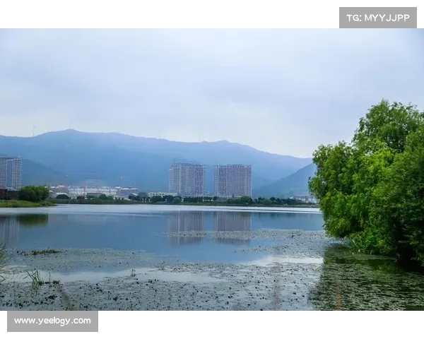 萨卡纽约街头惬意漫步,世俱杯热潮下的别样风景 萨卡纽约街头惬意漫步,世俱杯热潮下的别样风景